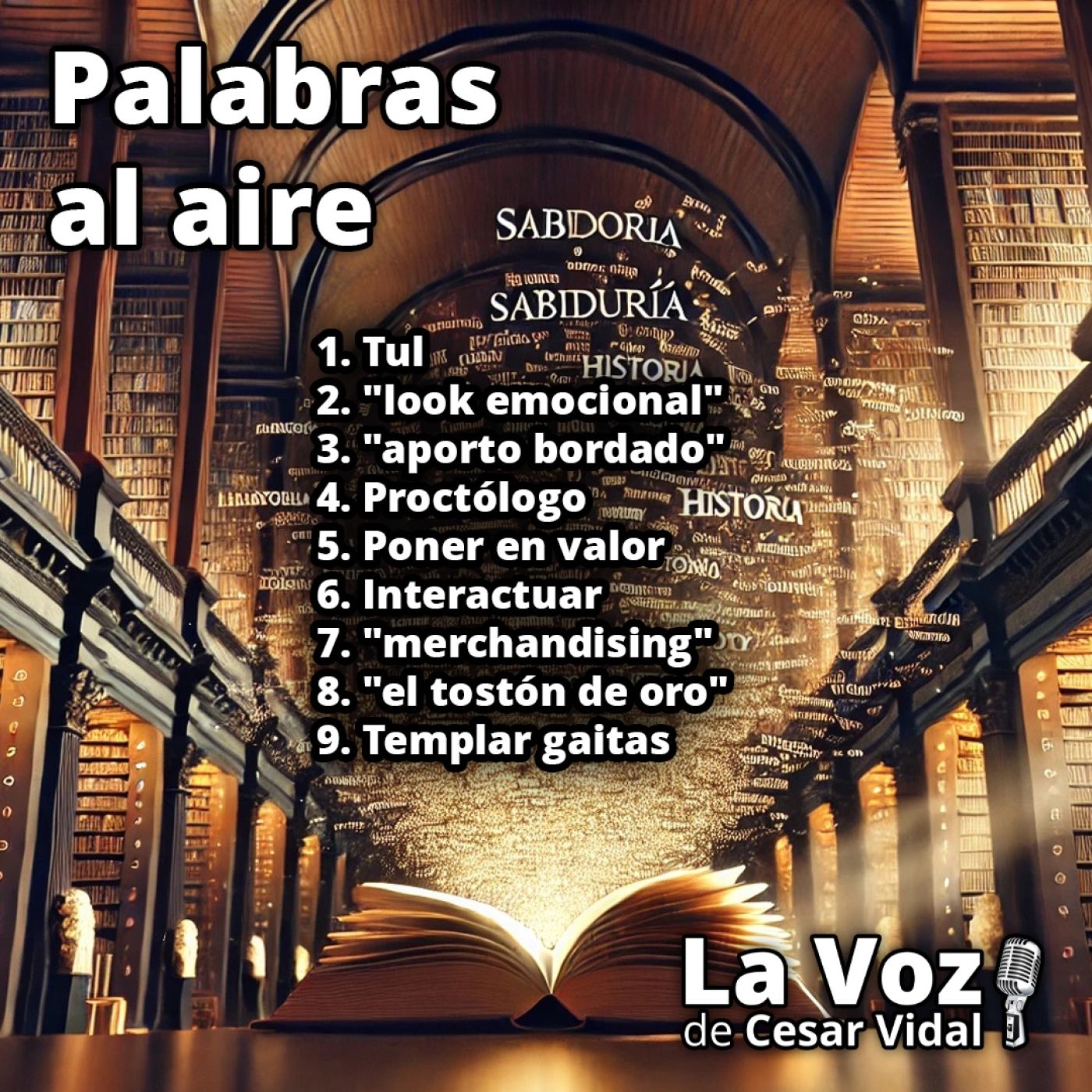Palabras al aire - 24/11/25 episode artwork