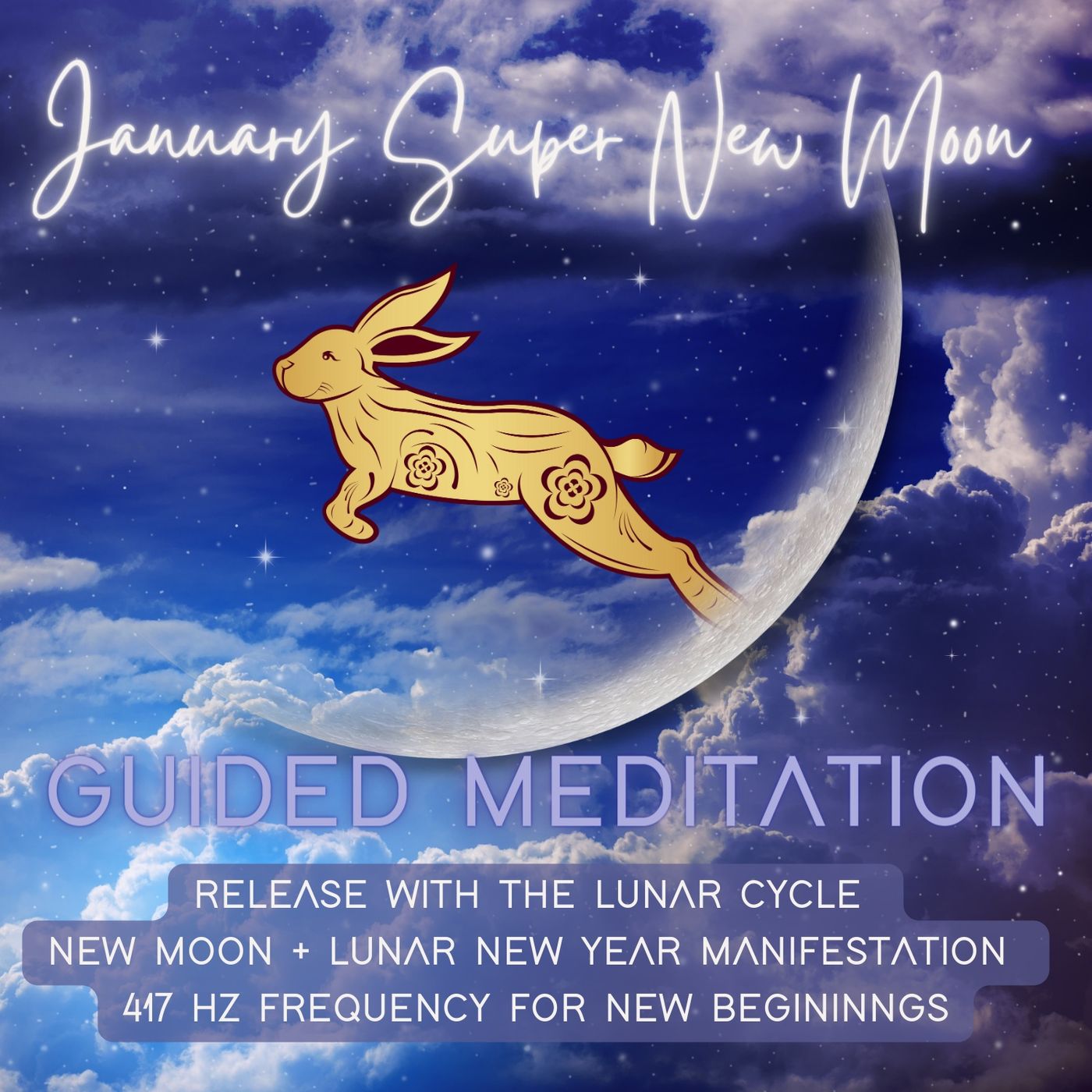 The Psychic Soul Meditations