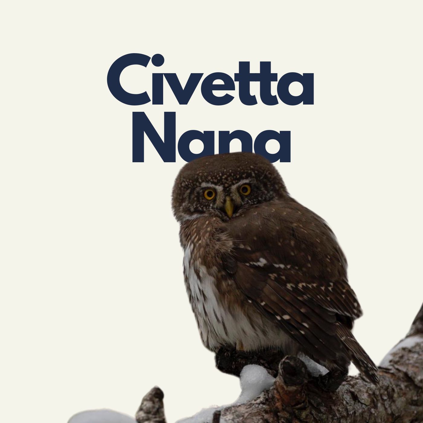 Andata e Ritorno - Storie di montagna