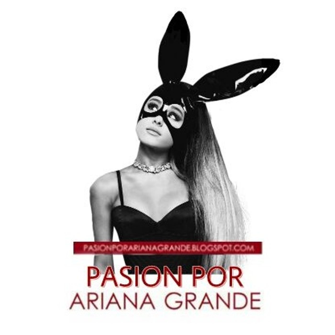 Pasión Por Ariana Grande