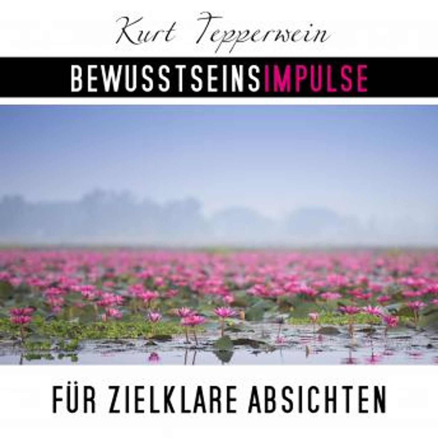 Download New Full Audiobooks in Health & Wellness, Fitness, Diet & Nutrition