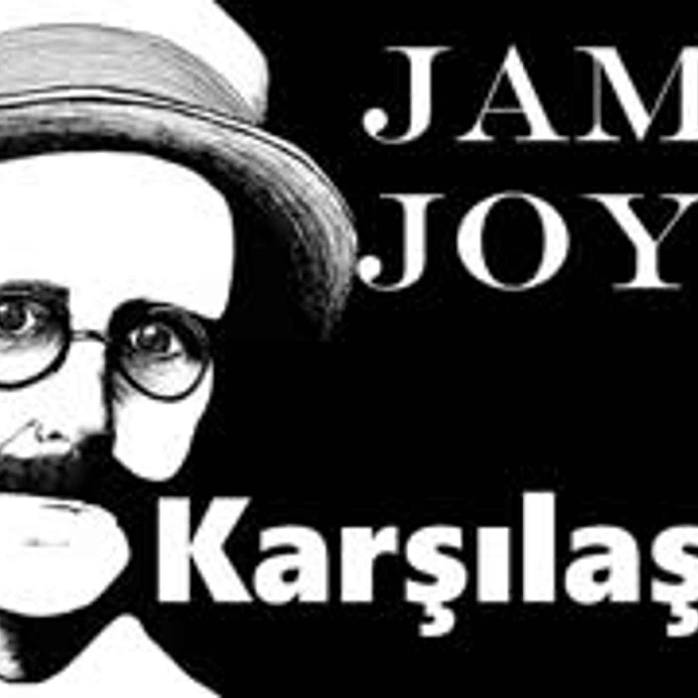 Bir Karşılaşma  James Joyce sesli kitap tek parça