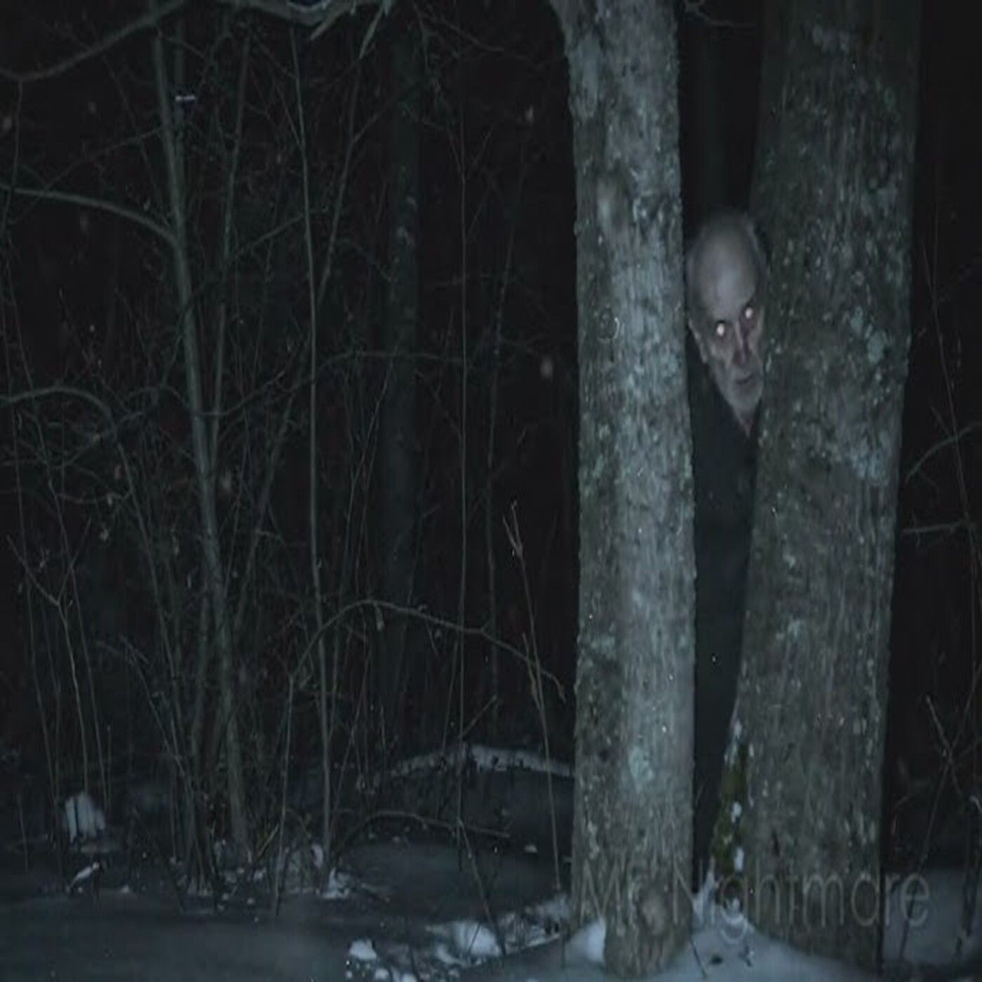 3 Very Scary TRUE Woods Horror Stories episode artwork