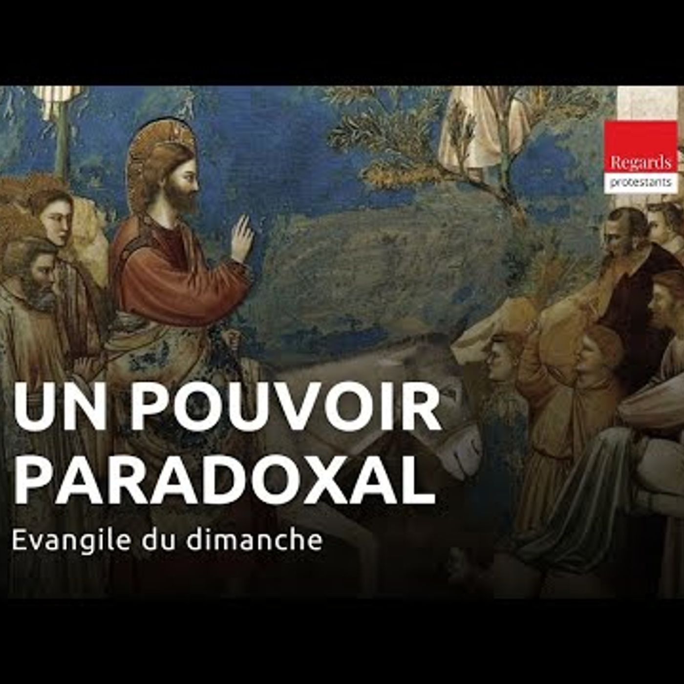 Regard Protestant - Dimanche des Rameaux - la conception paradoxale du pouvoir. Matthieu 21, 1-11