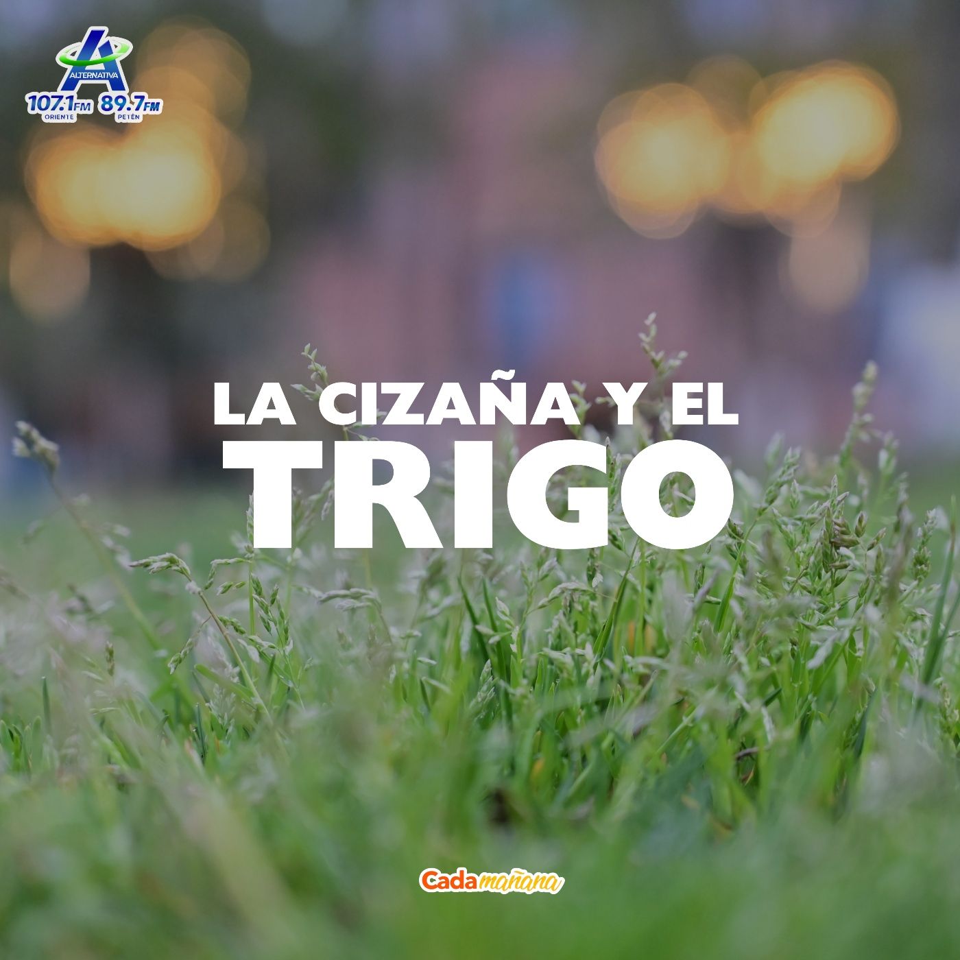 La cizaña y el trigo episode artwork