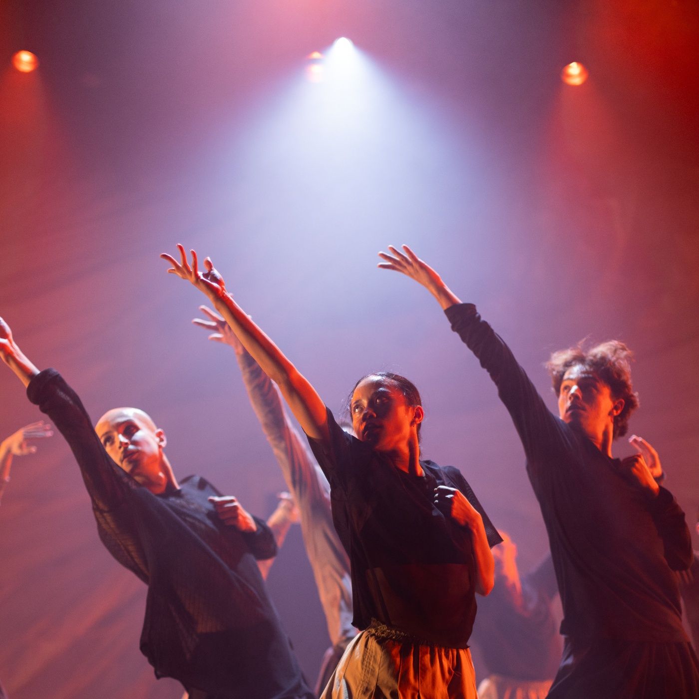 45° Oriente Occidente Dance Festival