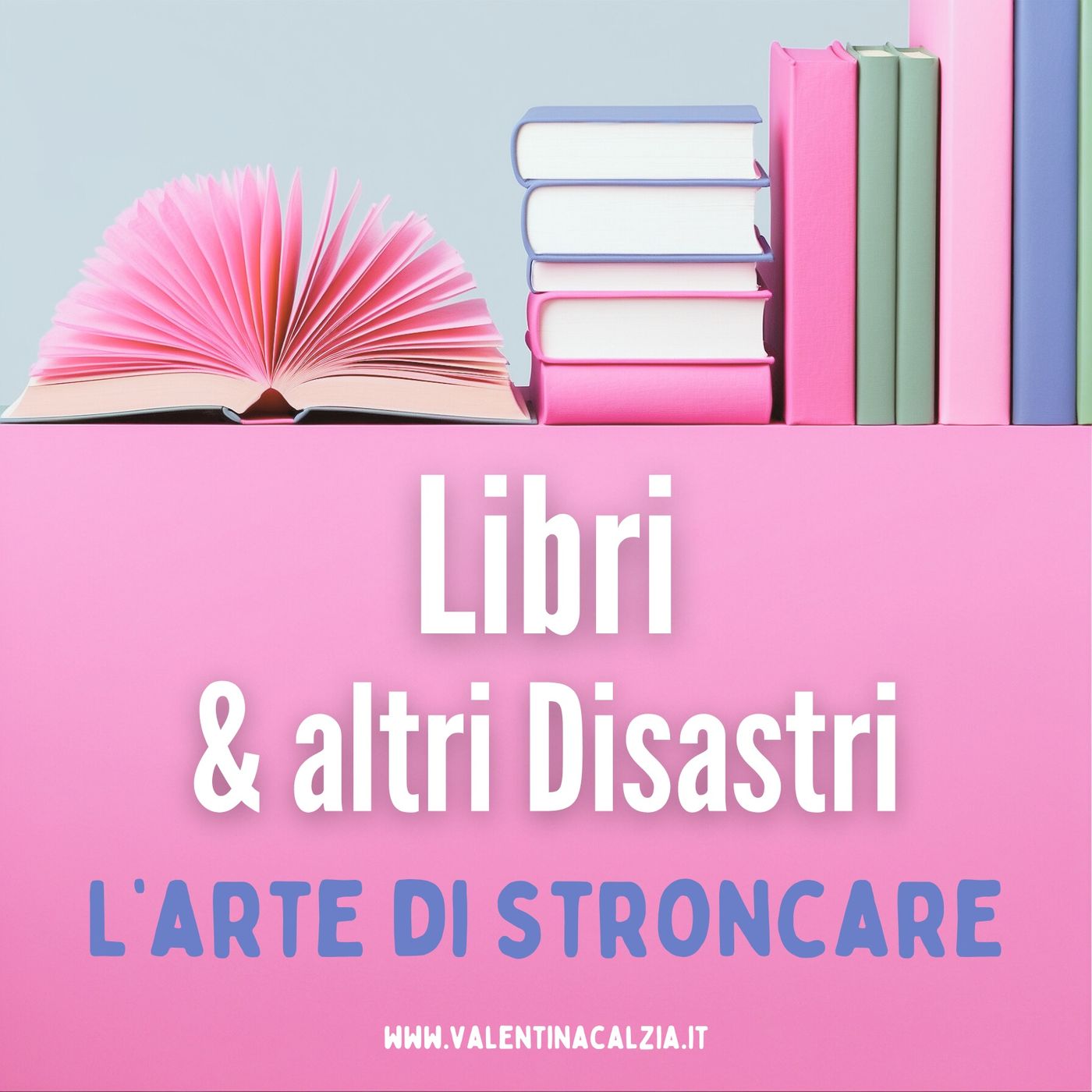 Copertina di Libri & altri Disastri
