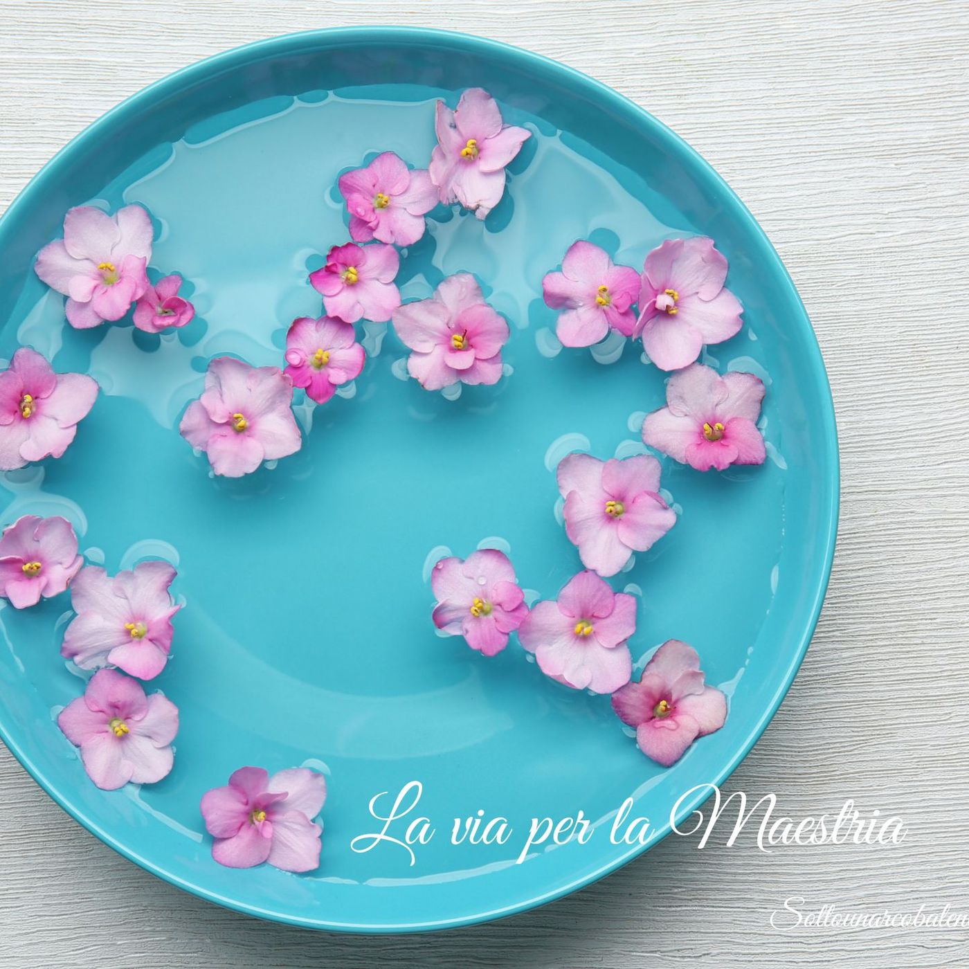 ✨ Il Rito dei 9 Fiori✨ per Riequilibrare le Relazioni disarmoniche episode artwork