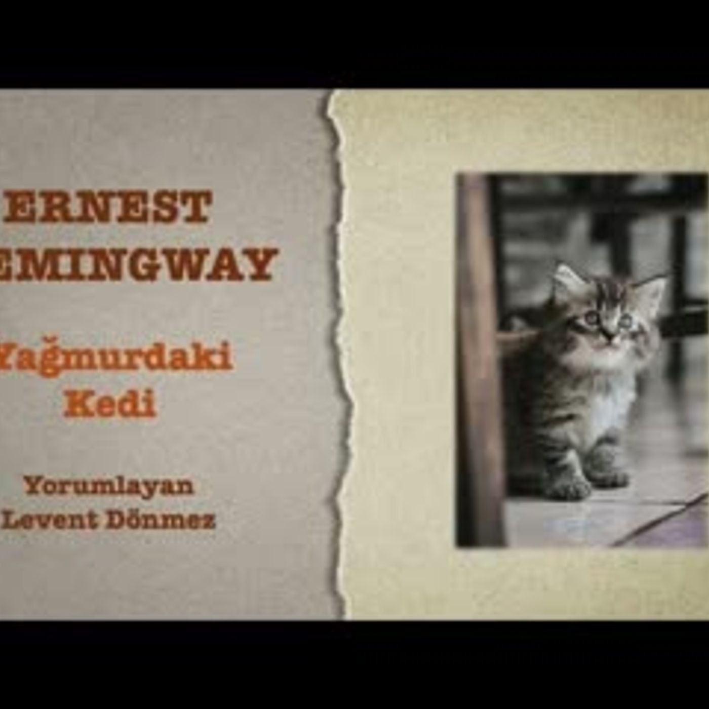 Ernest Hemingway - Yağmurdaki Kedi episode artwork