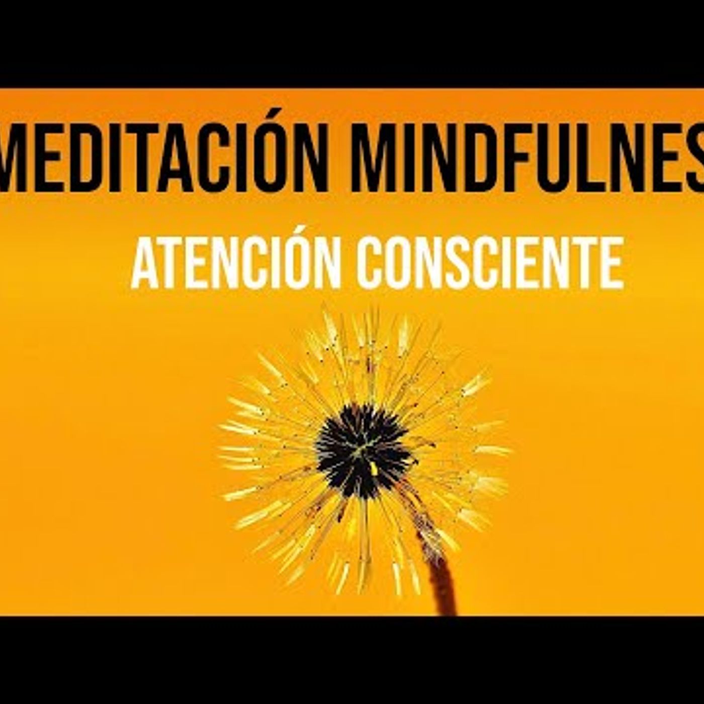 092. Meditación Mindfulness 10 Minutos ATENCIÓN PLENA