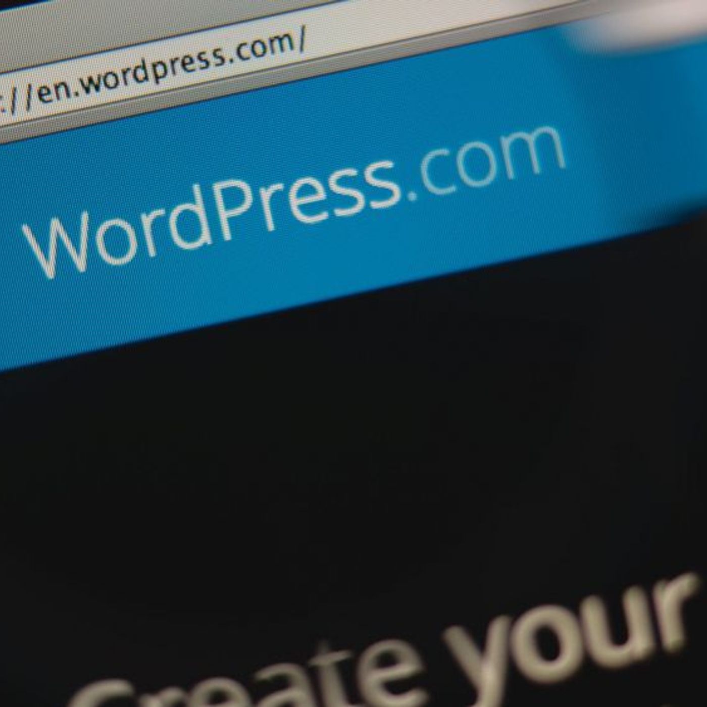 E8 Un plugin fraudulento de Wordpress expone a las tiendas online al robo de tarjetas de crédito episode artwork