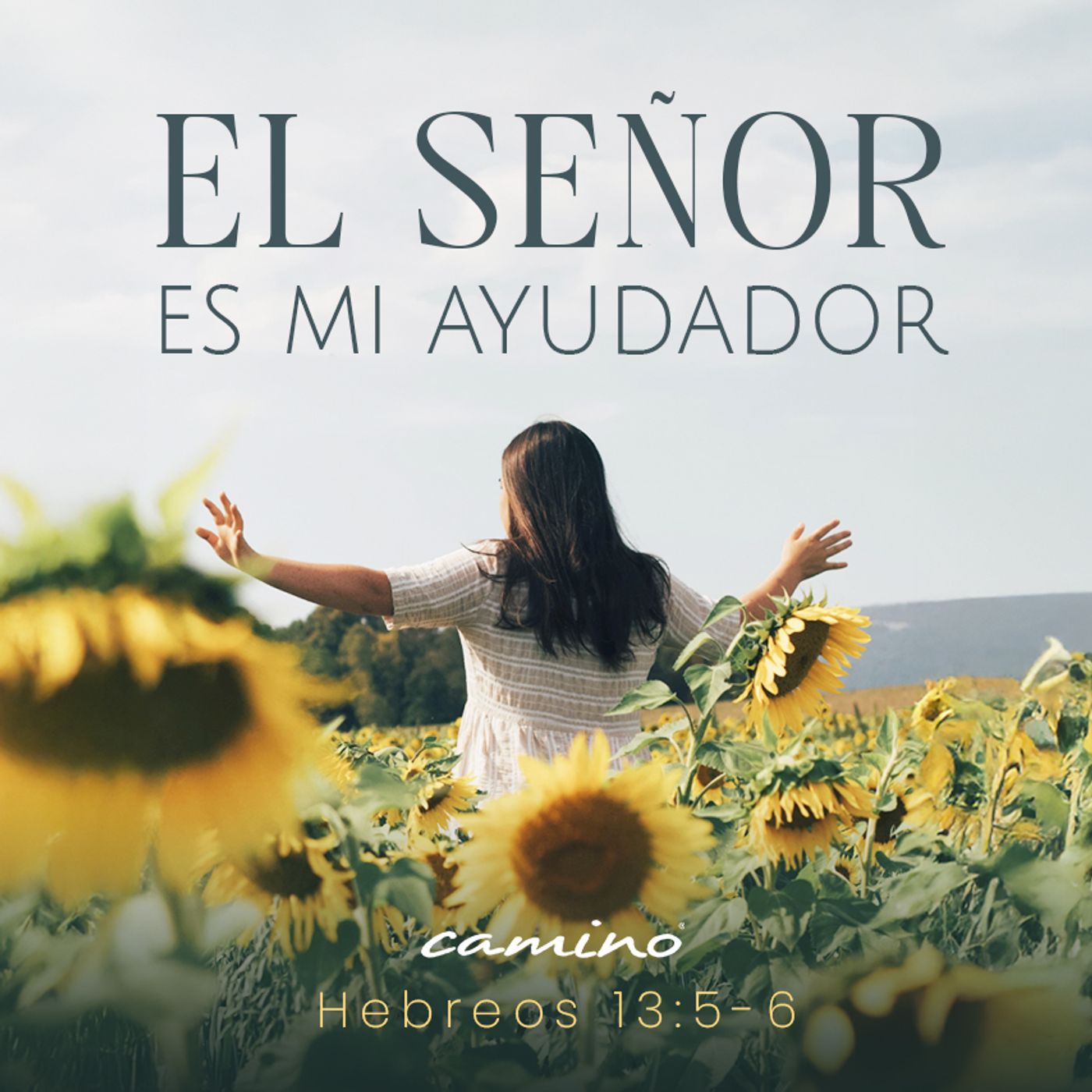 Oración 18 de diciembre (El Señor es mi ayudador) episode artwork