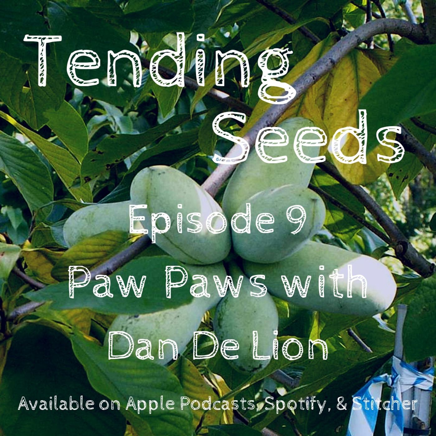 Tending Seeds: Adventures in Gardening