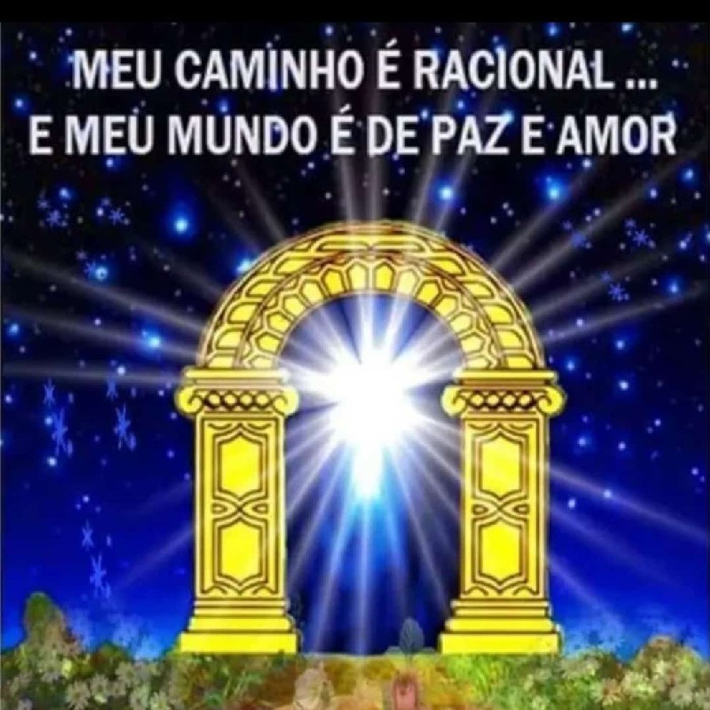 UM BRILHANTE EM MÃOS DE TODOS episode artwork