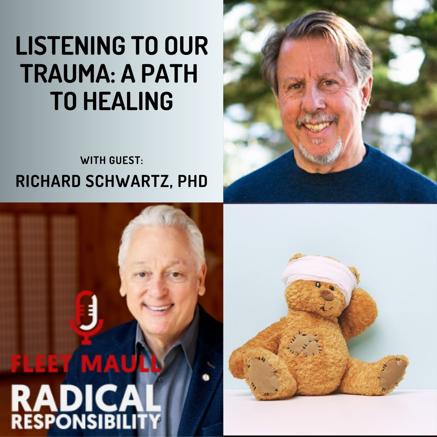 EP 159: Listening to Our Trauma: A Path to Healing | Richard Schwartz