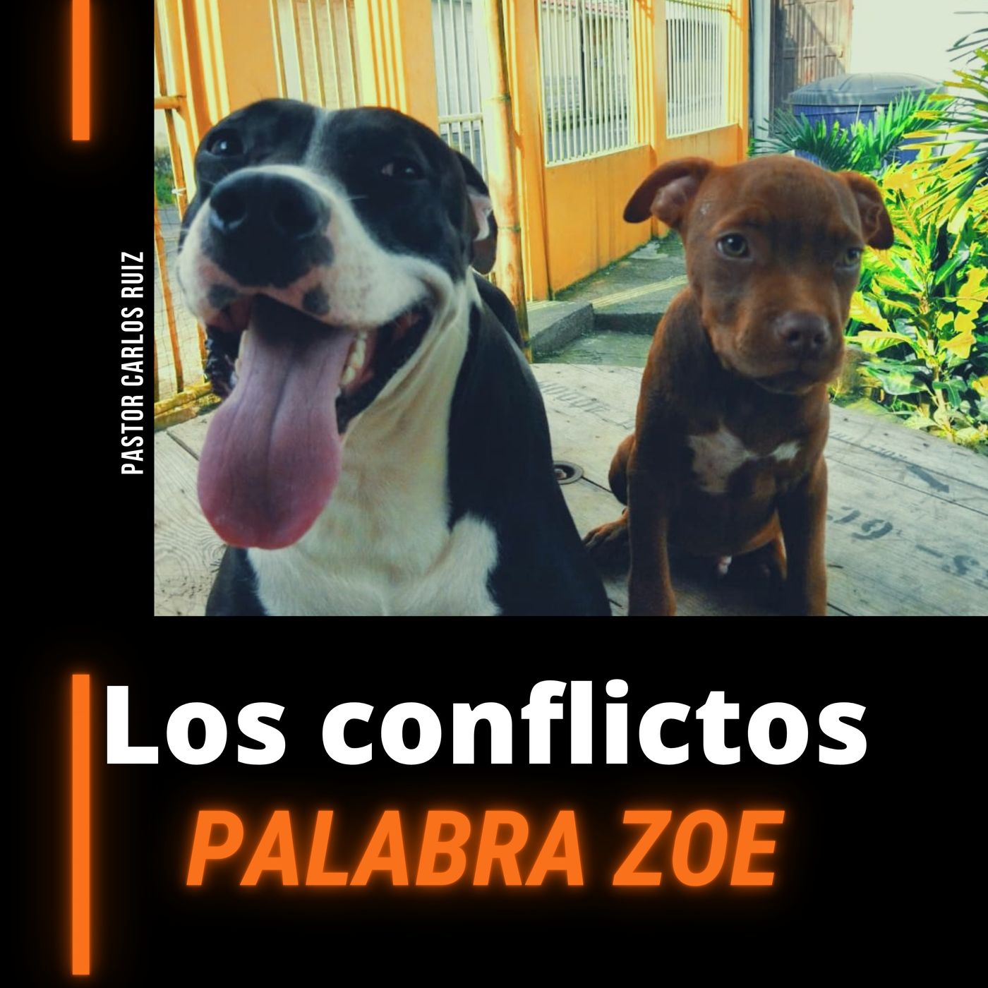PALABRA ZOE PALABRA DE VIDA