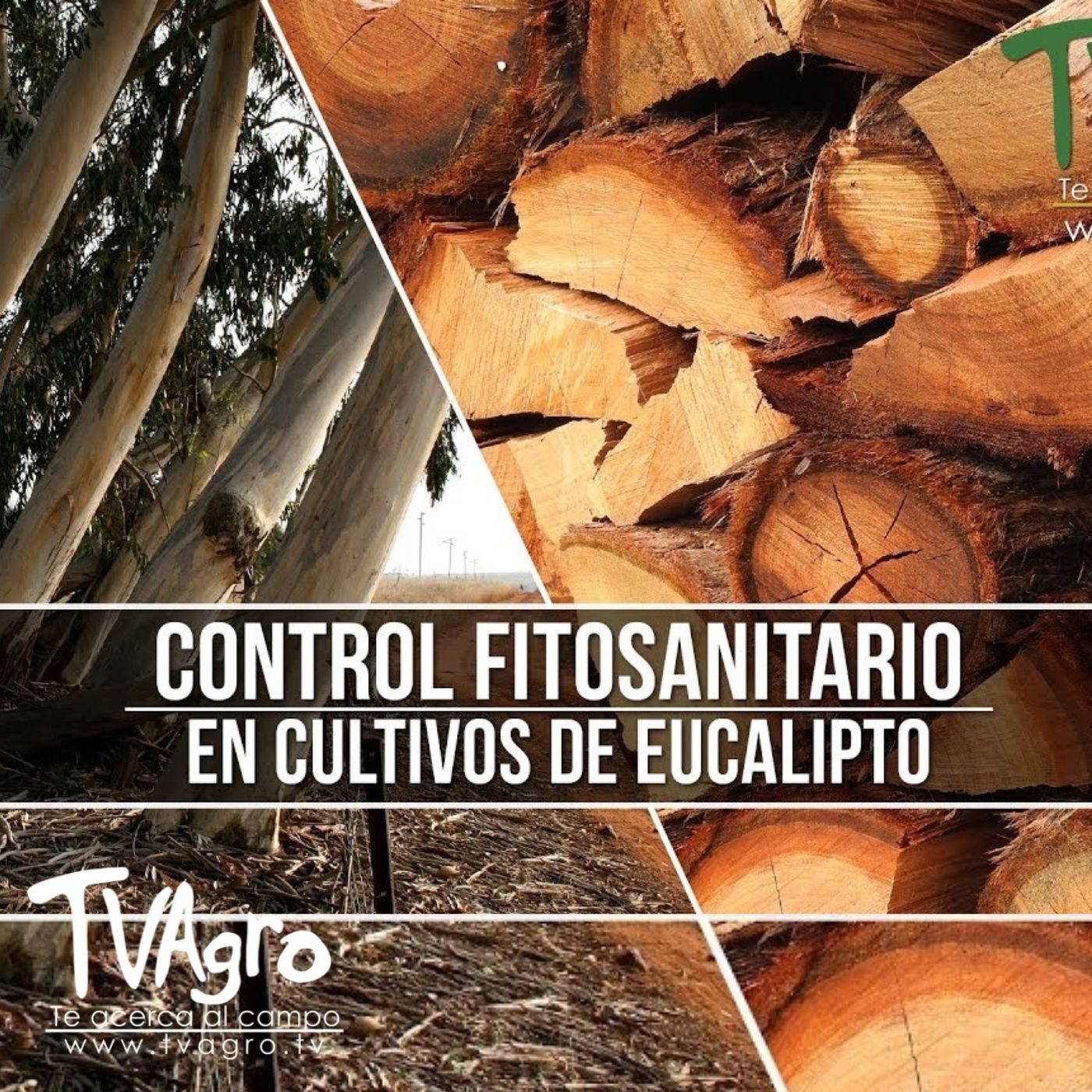 TV AGRO