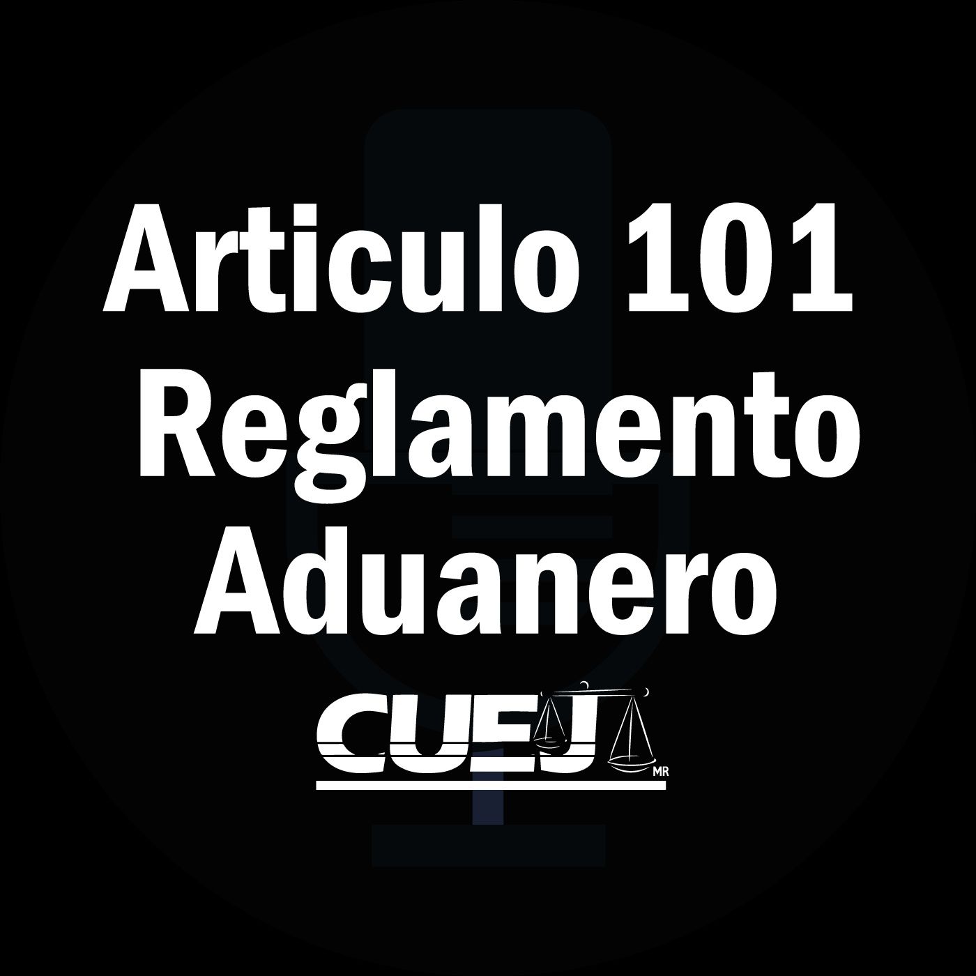 Reglamento de la ley aduanera