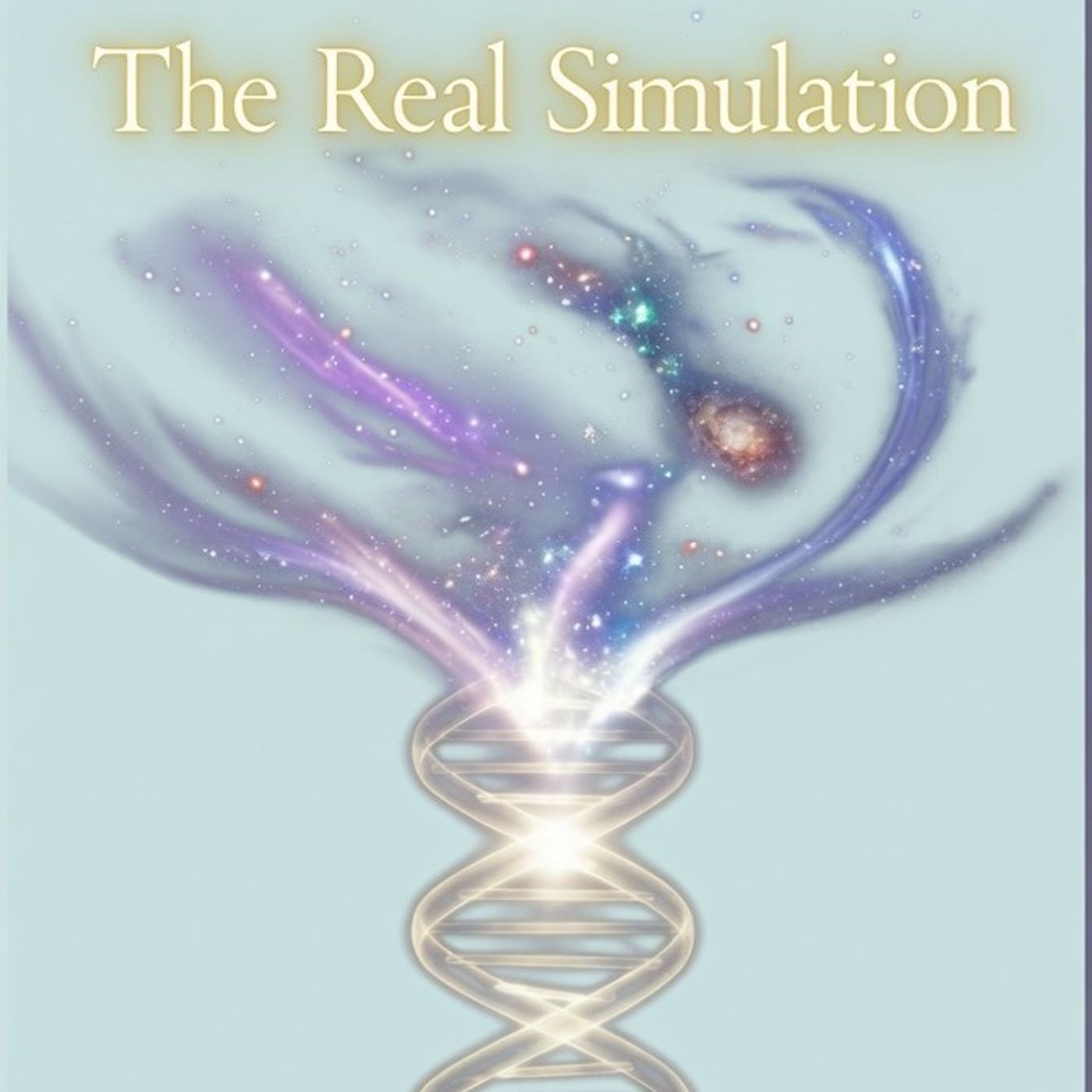 The Real Simulation