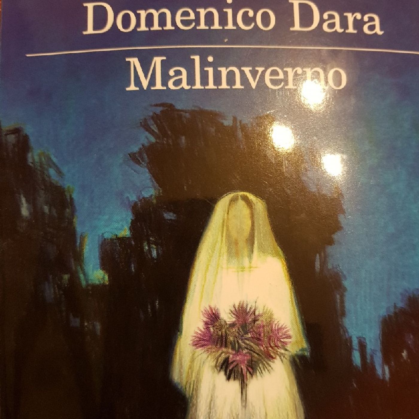 Domenico Dara : Malinverno
