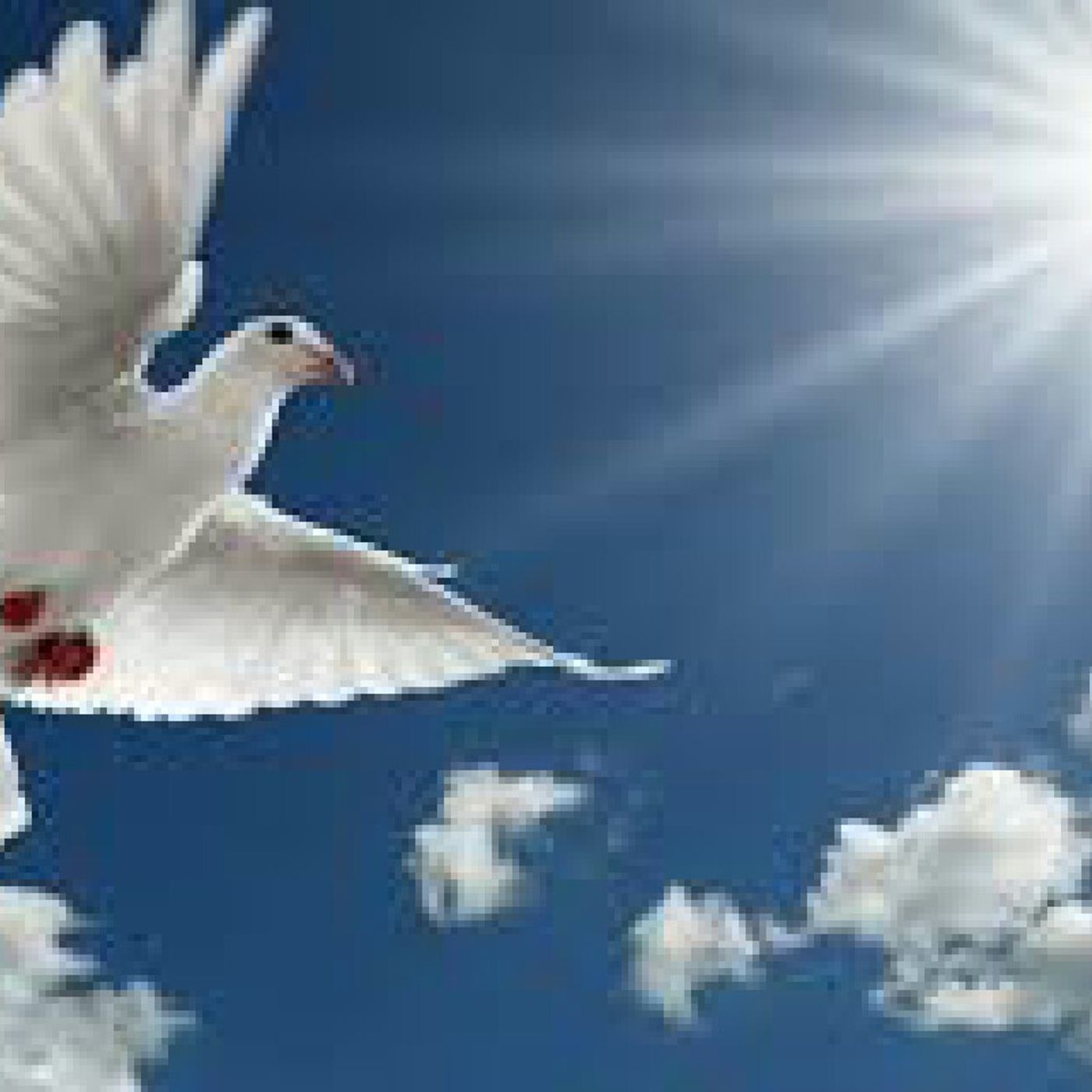 Un.Tiempo.con.Dios.Con.la.pastora:Luz.