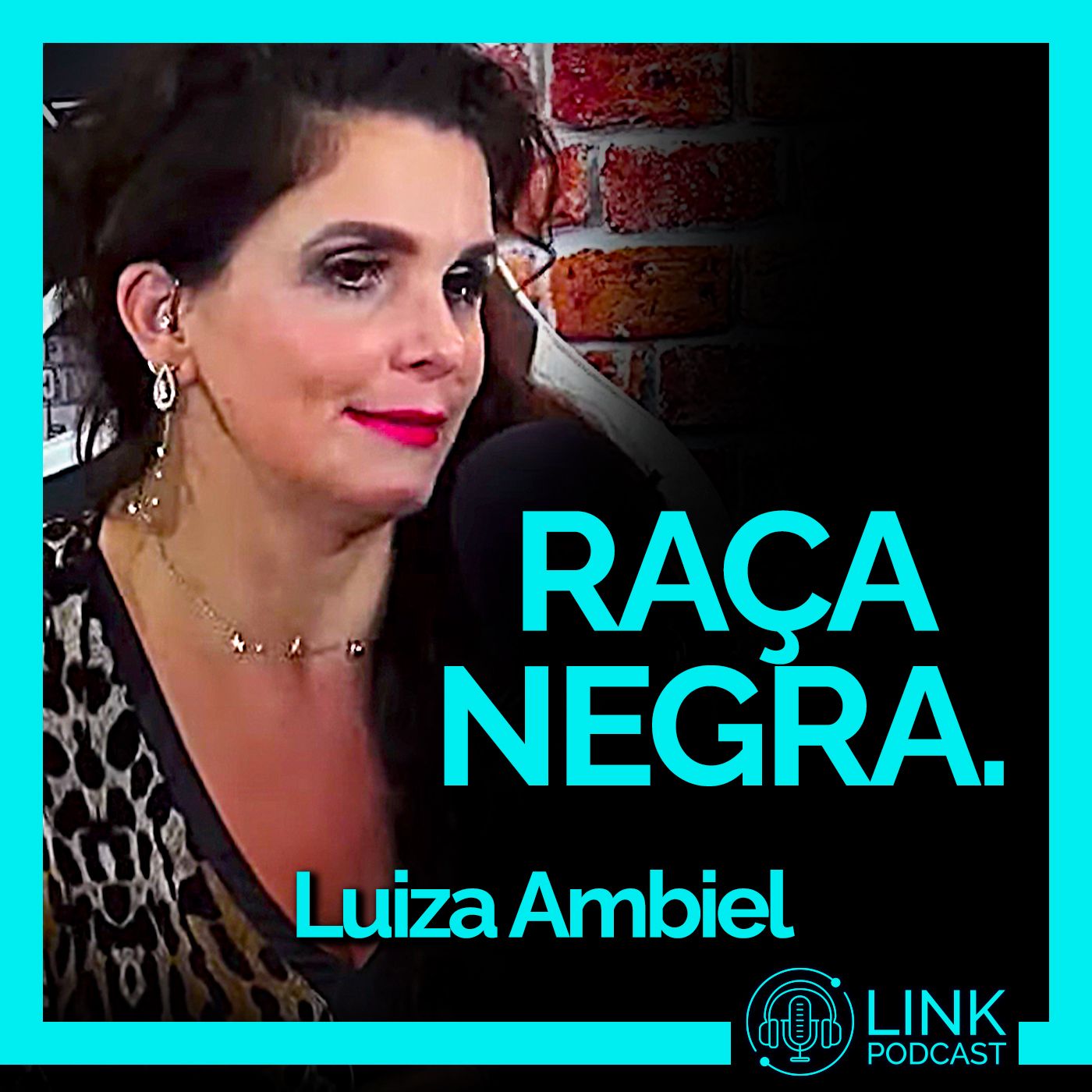 Link Podcast