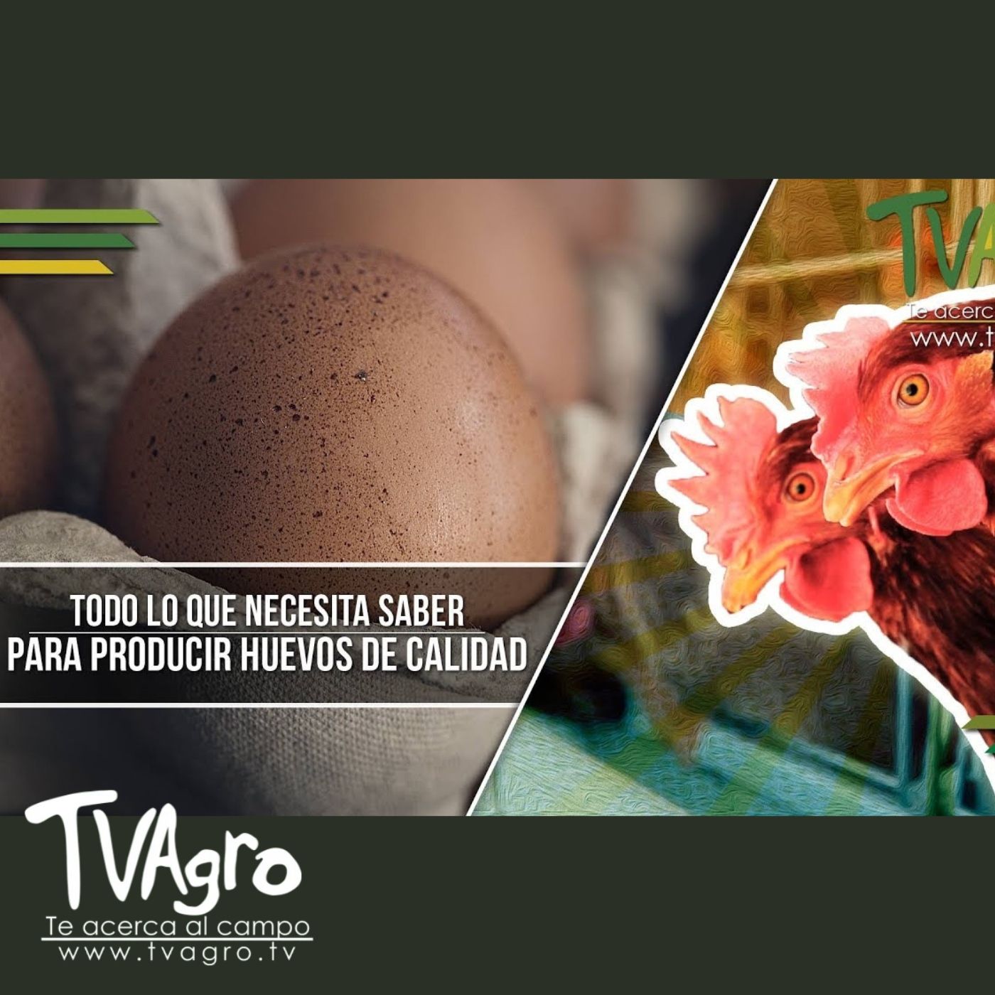 TV AGRO