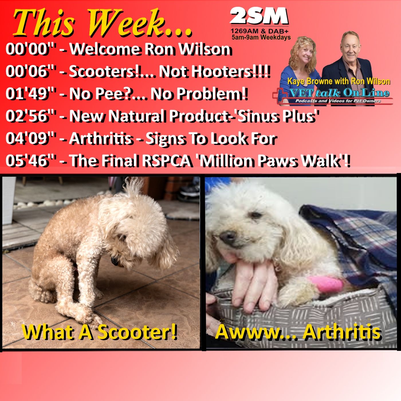 VET Talk Radio Podcasts