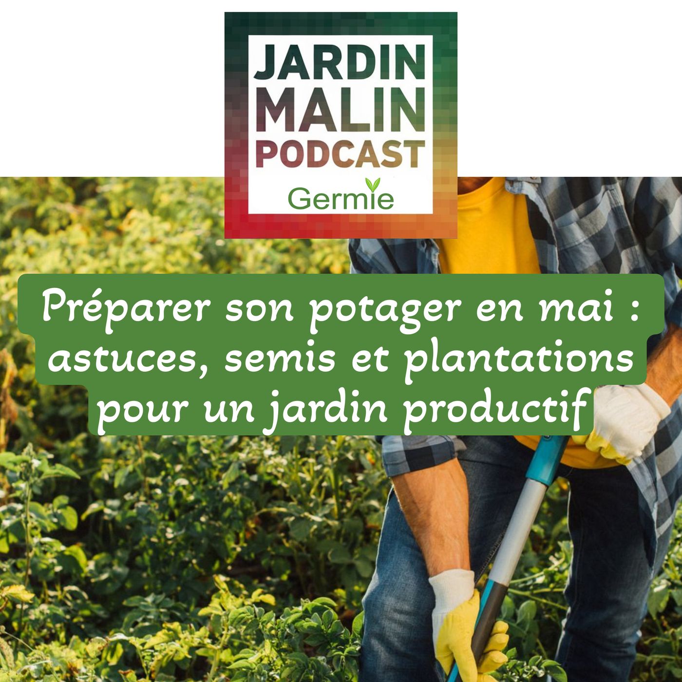 Préparer son potager en mai : astuces, semis et plantations pour un jardin productif