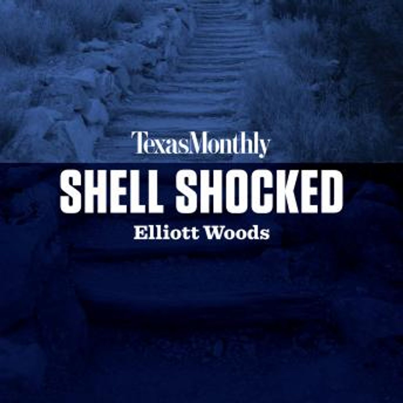Access Essential Full Audiobooks in Mystery, Thriller & Horror, True Crime