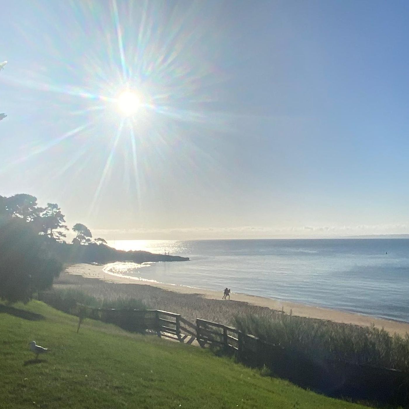 Guides by Rachit Lohani cover art