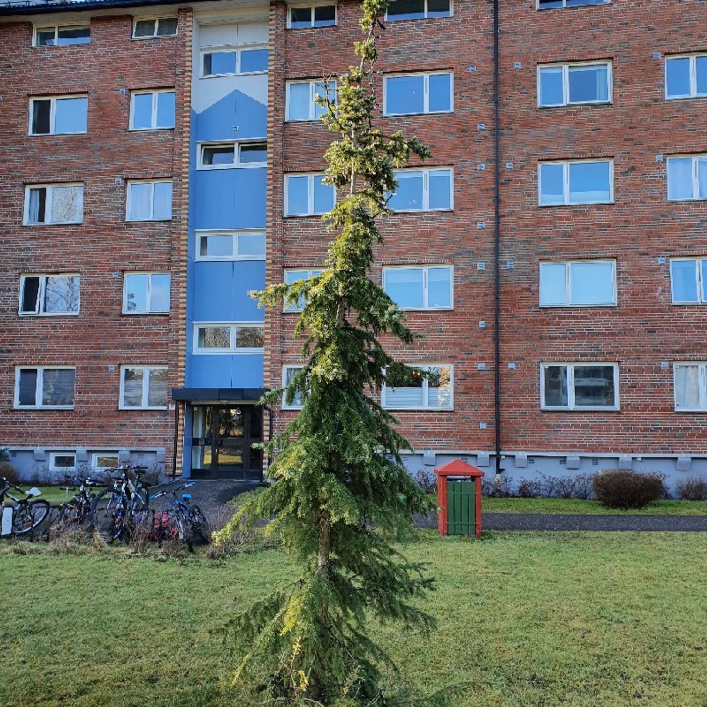 Tentakler til ettertanke