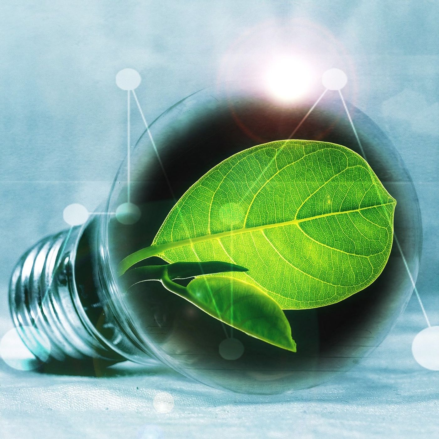 GreenTime - Radio Vivieco