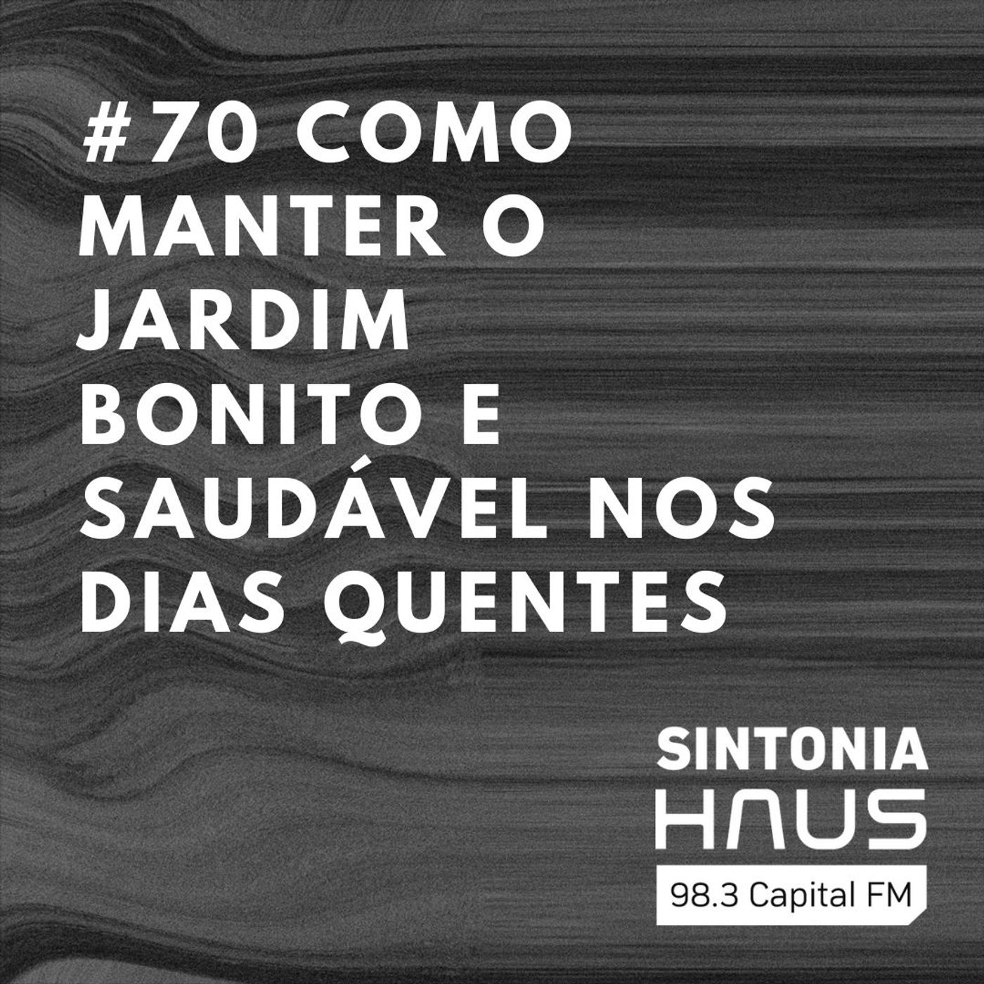 Saiba como manter o jardim bonito e saudável nos dias quentes | SINTONIA HAUS #70 episode artwork