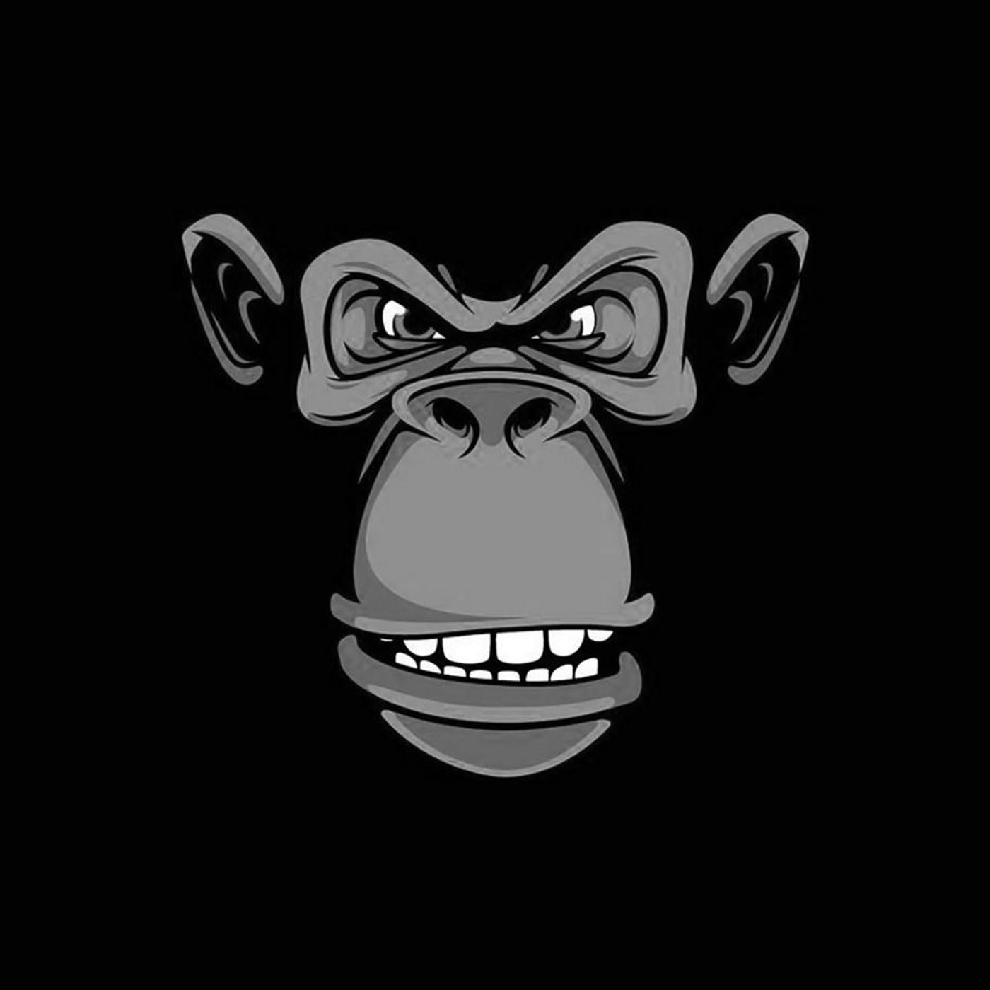 Radio The Monster Monkeys's show
