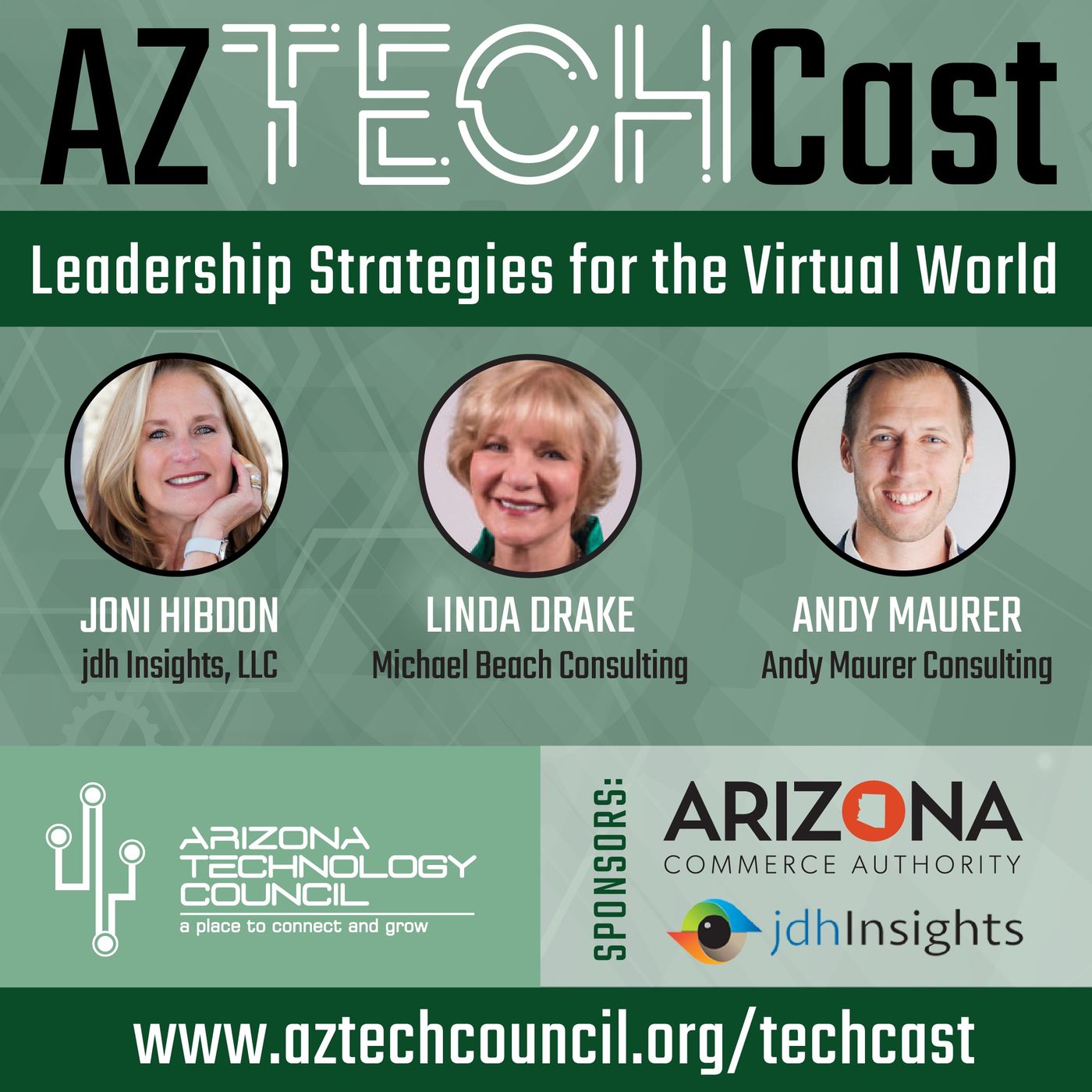Leadership Strategies for the Virtual World E12 episode artwork