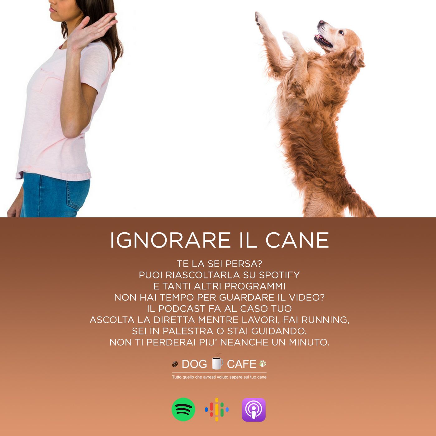 Dog Cafe Podcast