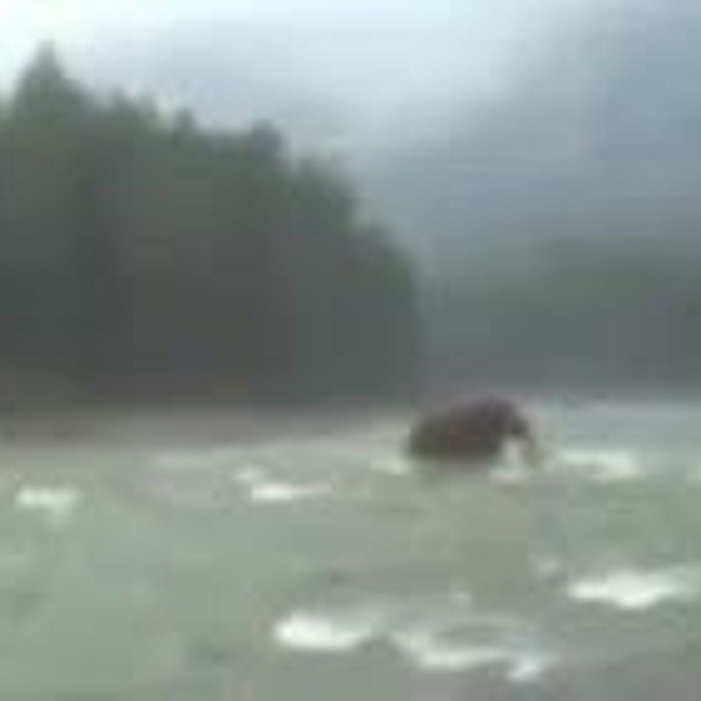 Internet Video Hoaxes: A Mammoth Undertaking