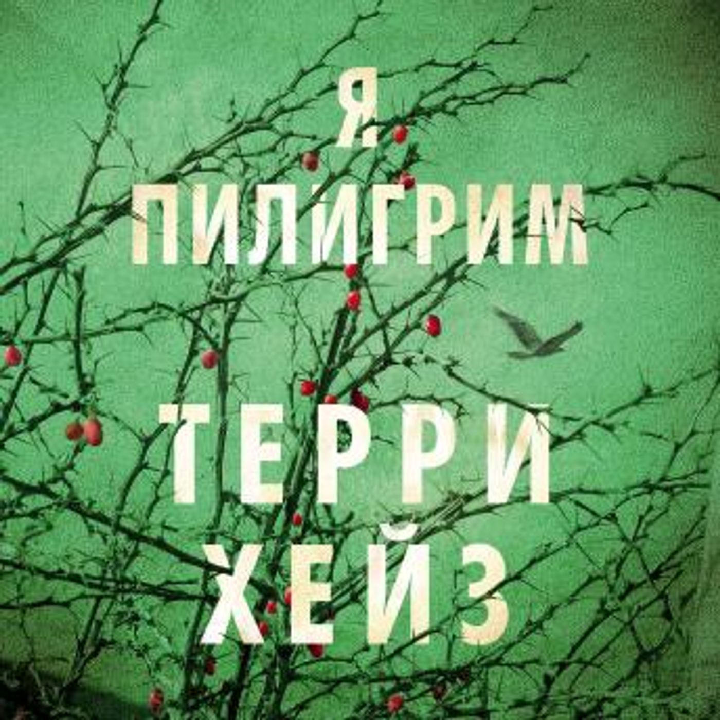 [Russian] - Я Пилигрим by терри хейз episode artwork
