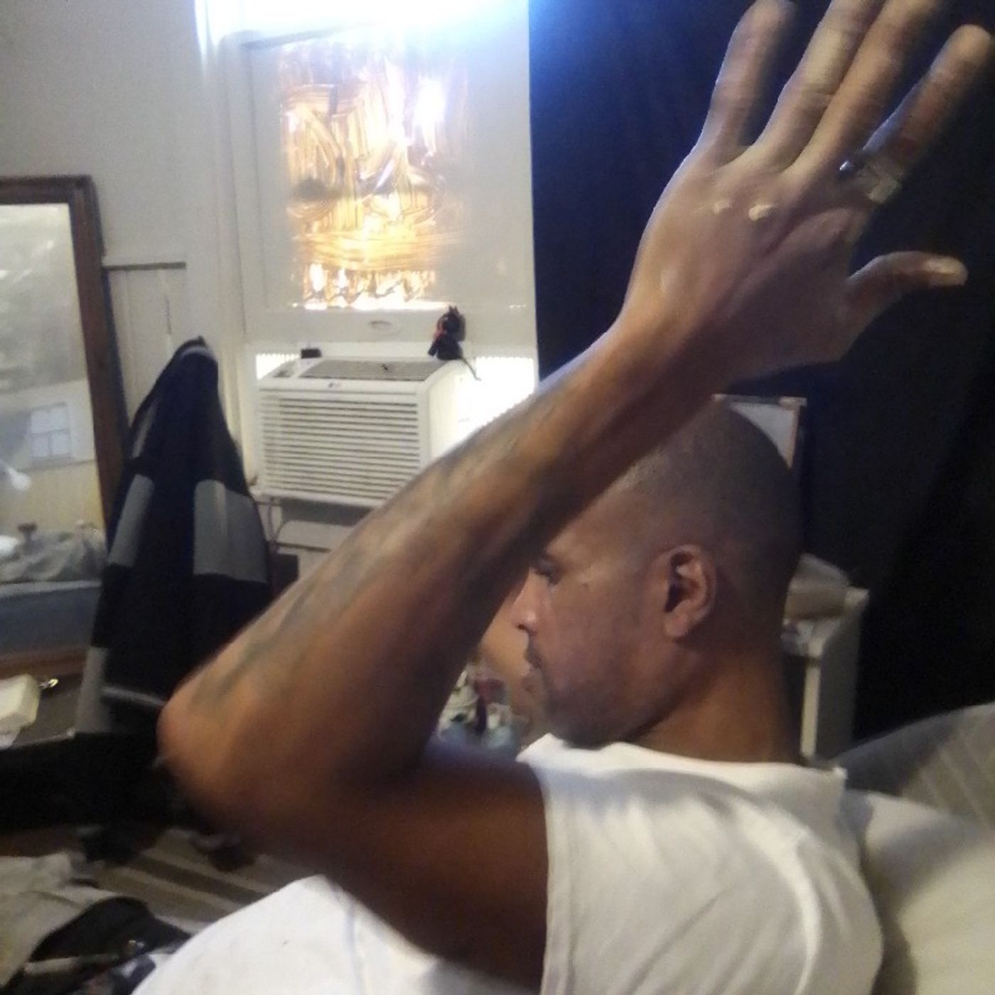 Professor Artist understand thd