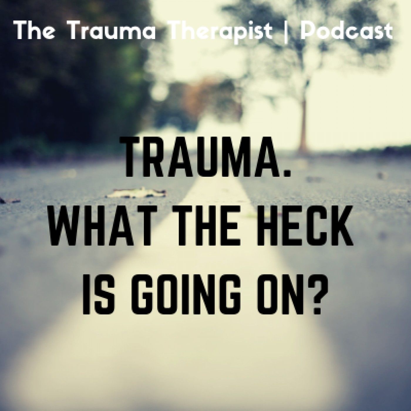 Episode 349: Cultivating Compassion, Vulnerability & You. Guy Macpherson, Phd