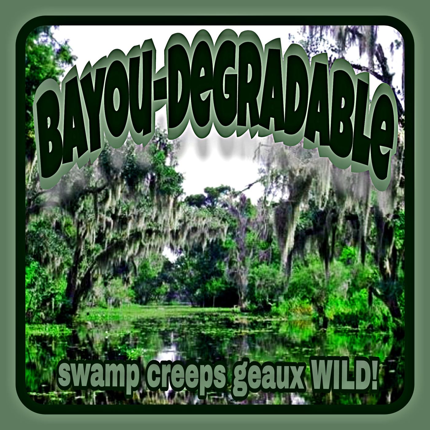 Bayou Degradable cover art