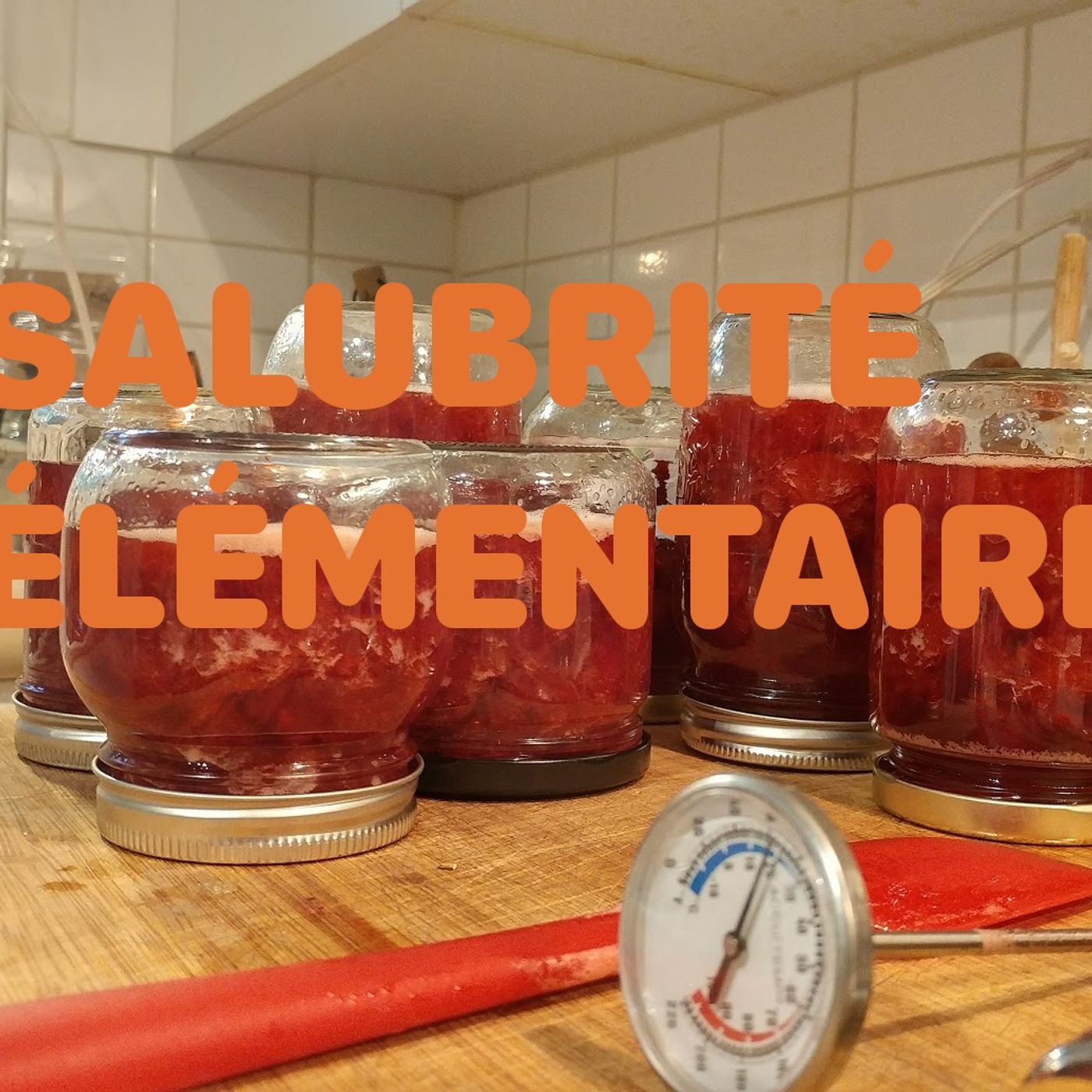 Blablapod - Salubrité élémentaire