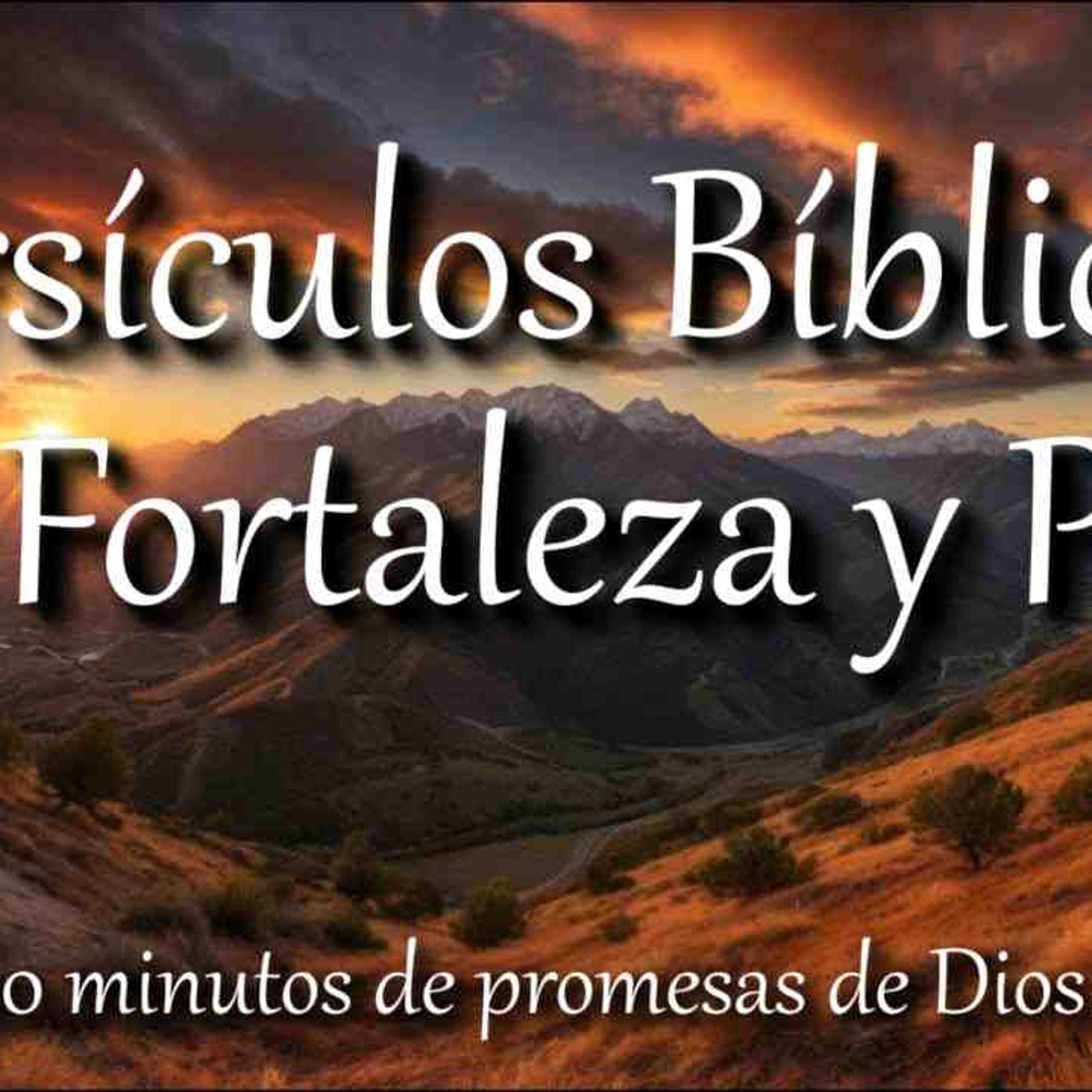 Versículos  Bíblicos que te llenarán de Paz_ Fe y Fortaleza _ Biblia hablada _ Bible audio(MP3_160K)