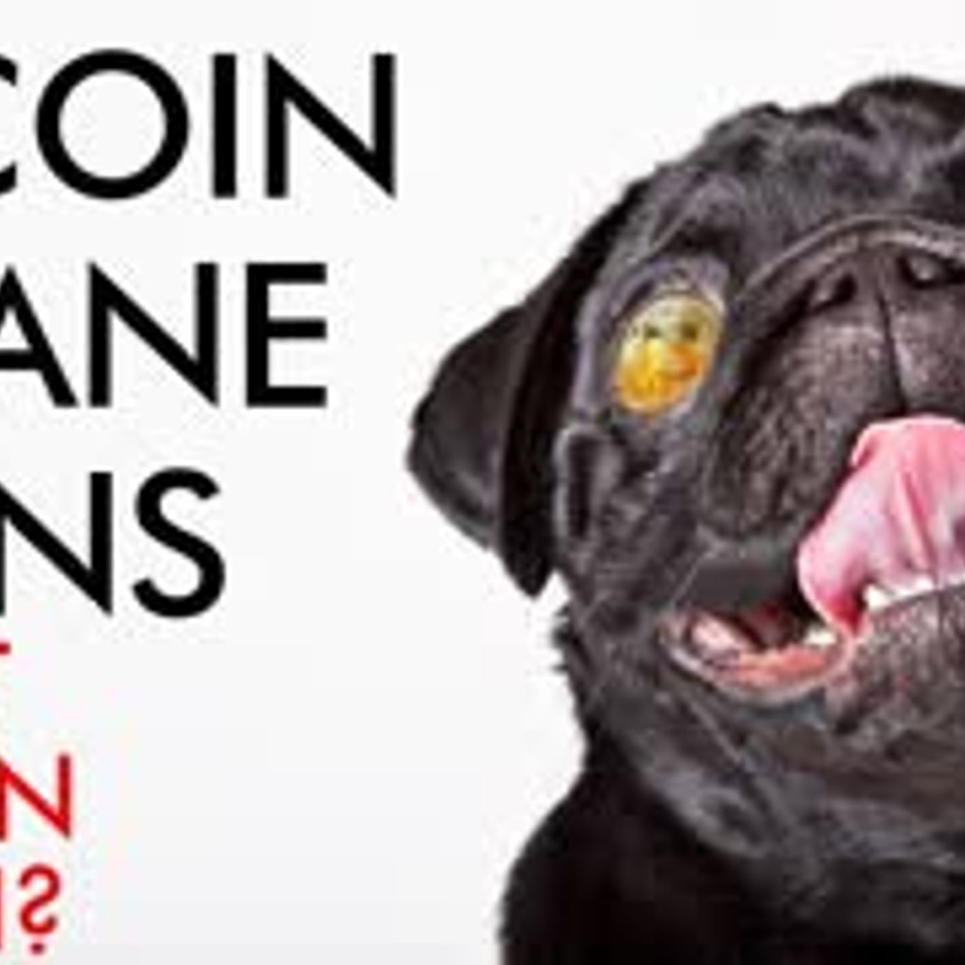 cover of episode Bitcoin INSANE Gains - Will It Happen Again