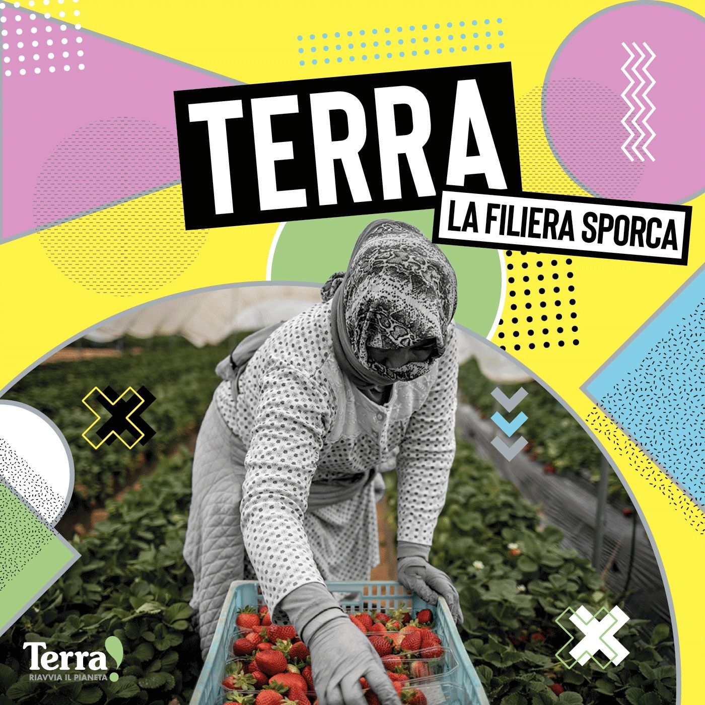 Terra