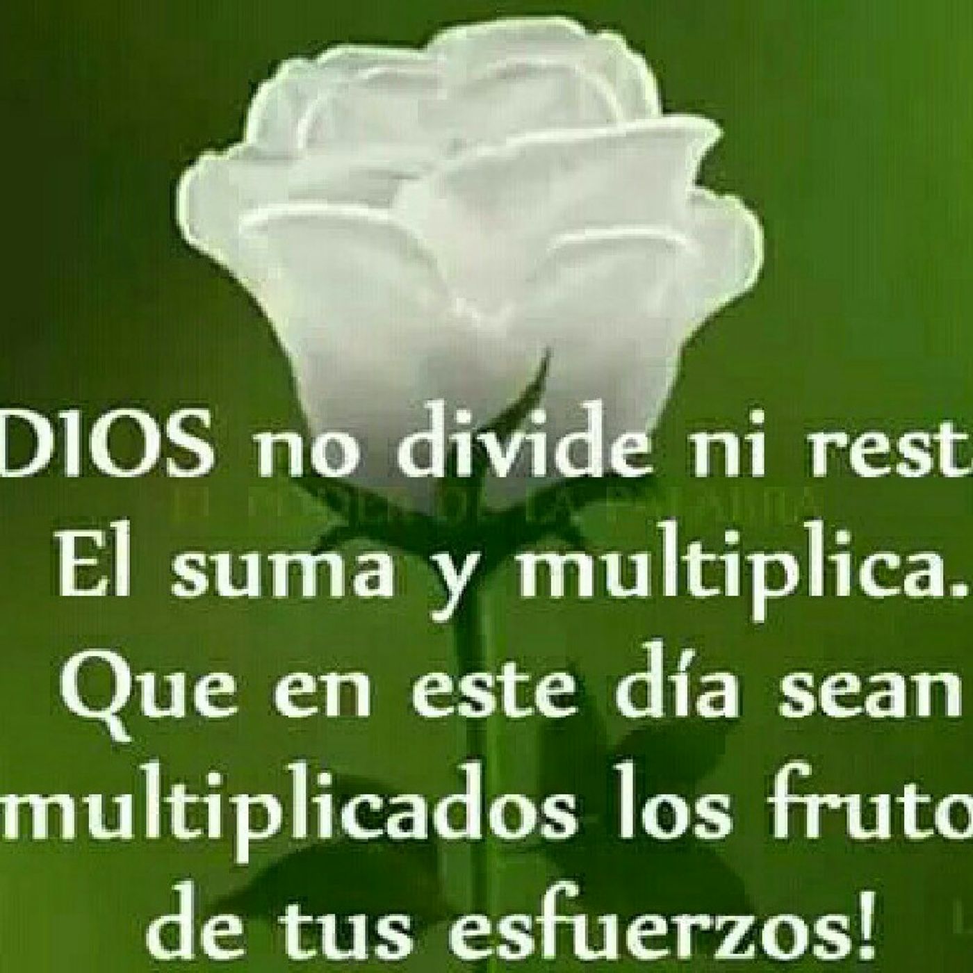 Jesus   Teamaa