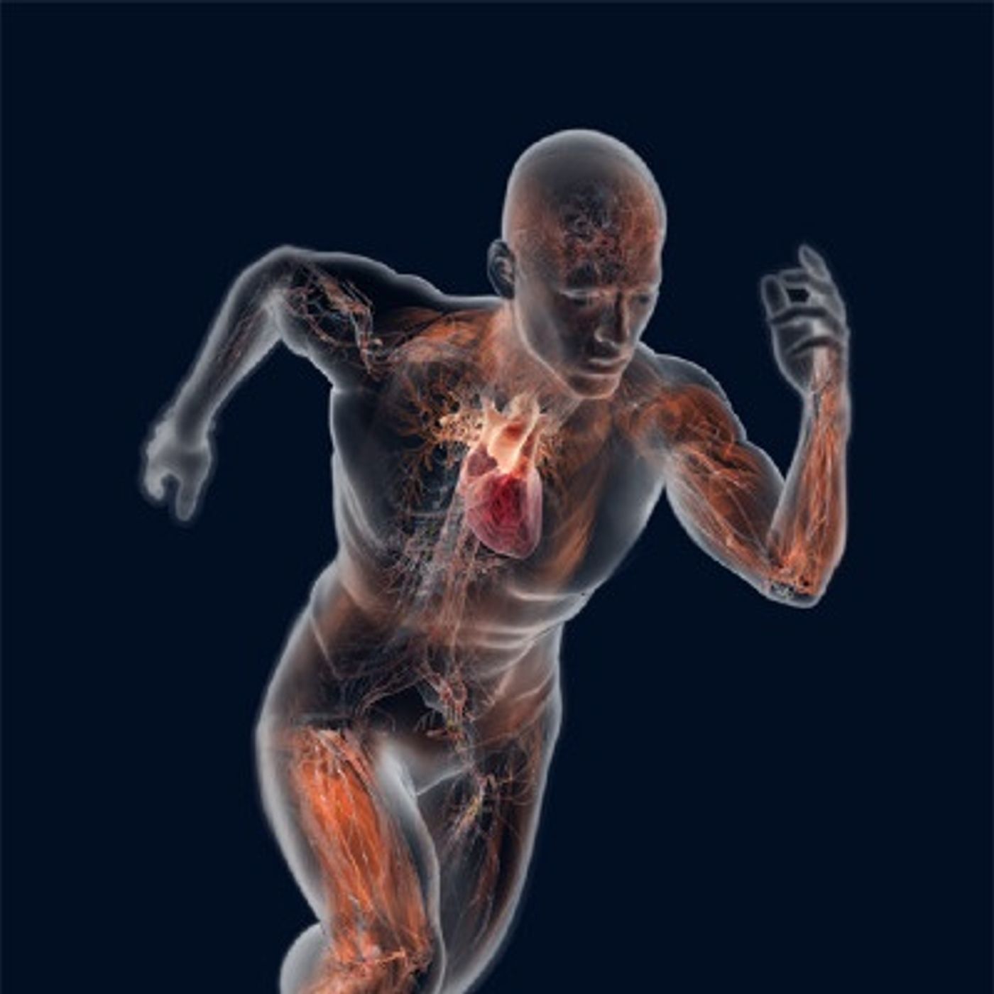 Qual a relação entre corpo, alma e espírito? episode artwork