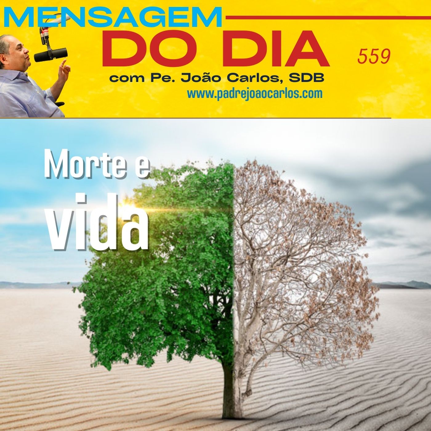 Mensagem 559 | Morte e vida episode artwork