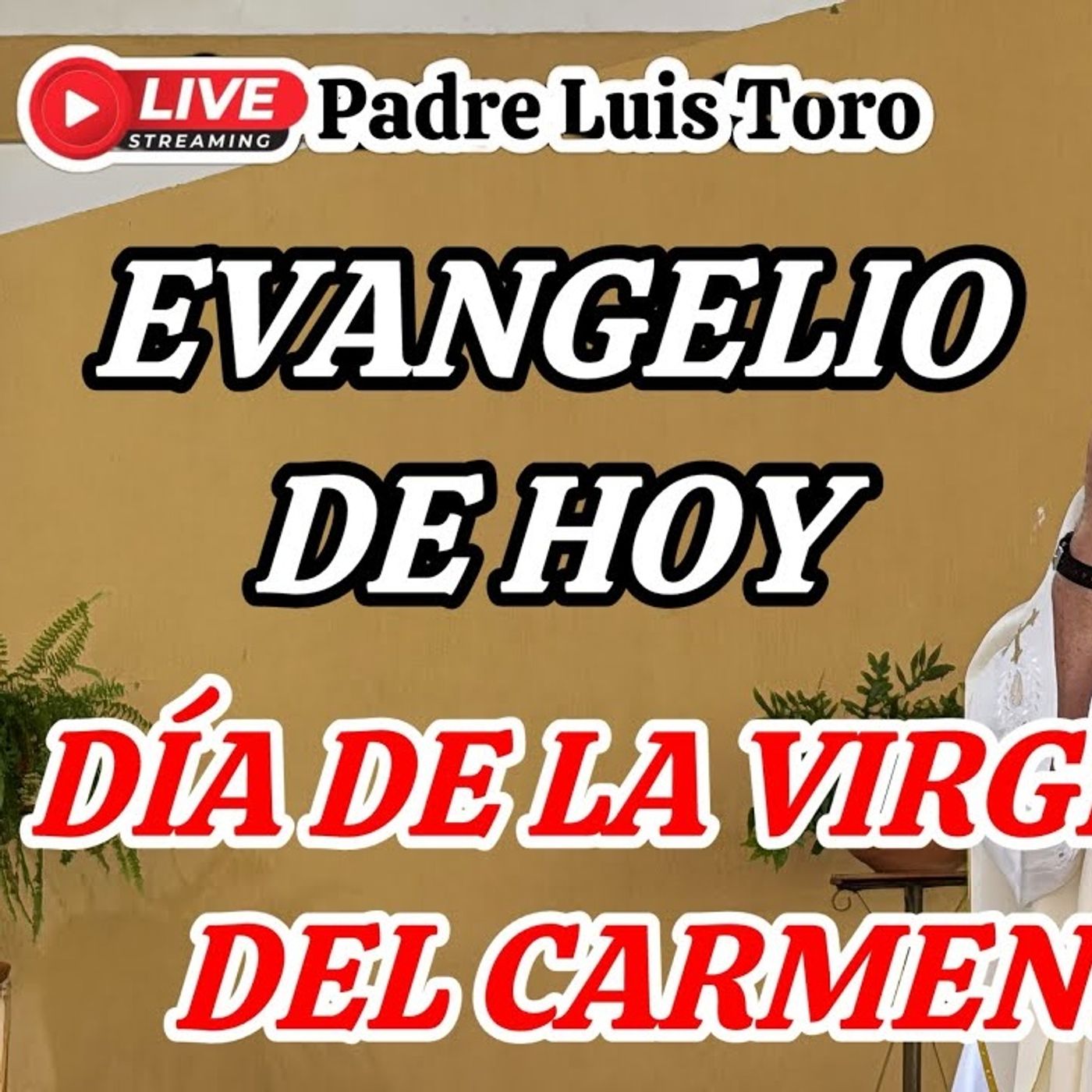 94-26_ Gran Homilía De HoyFiesta De La Virgen Del Carmen__️ Con El Padre Luis Toro episode artwork